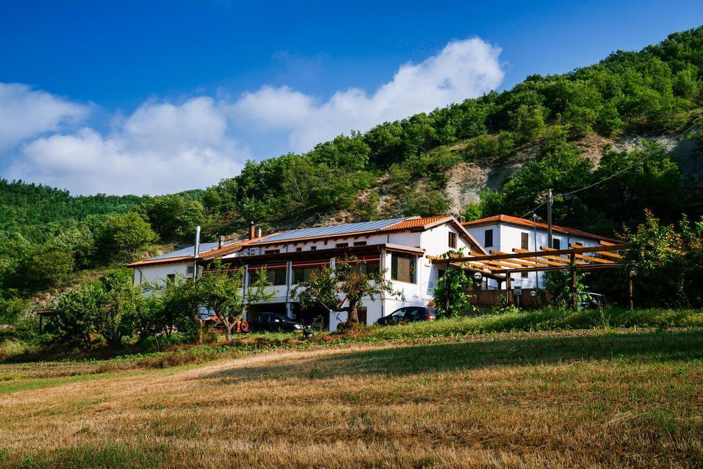 Agriturismo Cascina Del Vai Каїро-Монтенотте Екстер'єр фото